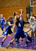 CHS Freshman Girls Basketball vs Limestone 1/30/16