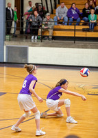 IMS 7th Grade Volleyball vs Morton 1/27/15