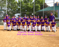 2016 IMS Baseball Team
