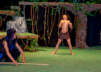 CHS " Tarzan the Musical "  March 2016