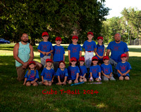 2024 Cubs